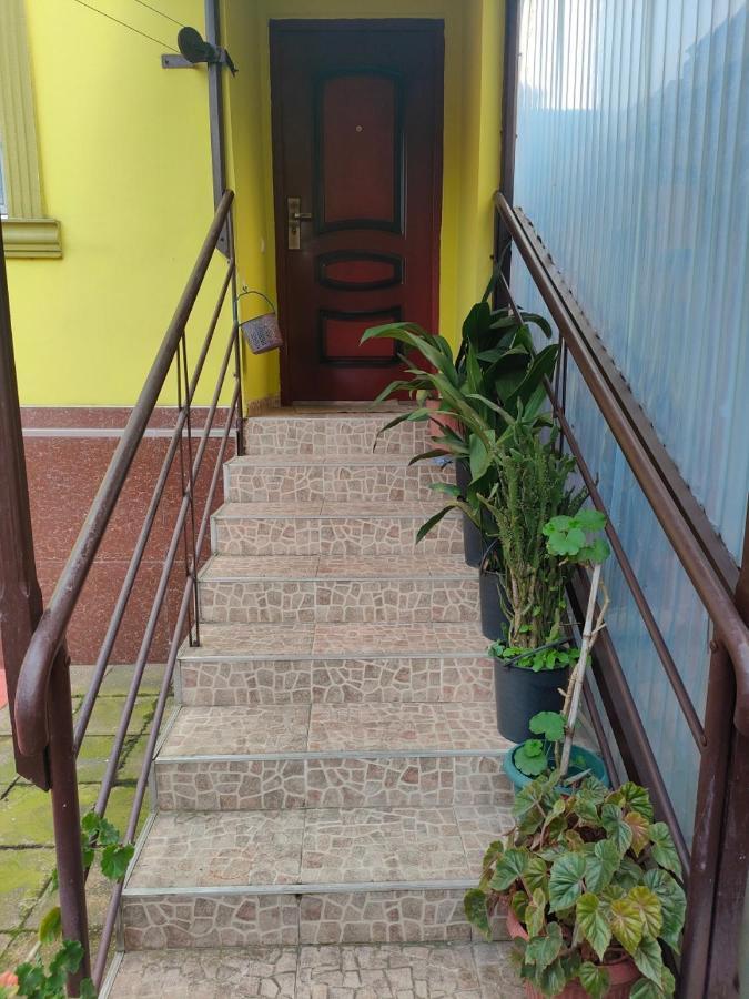 Guest House Nadejda 巴统 外观 照片