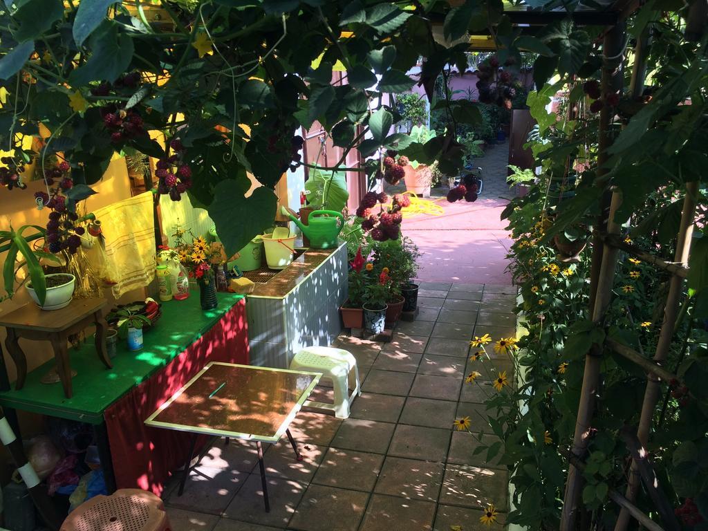 Guest House Nadejda 巴统 外观 照片